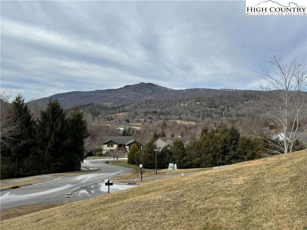Image number 7 for the current listing