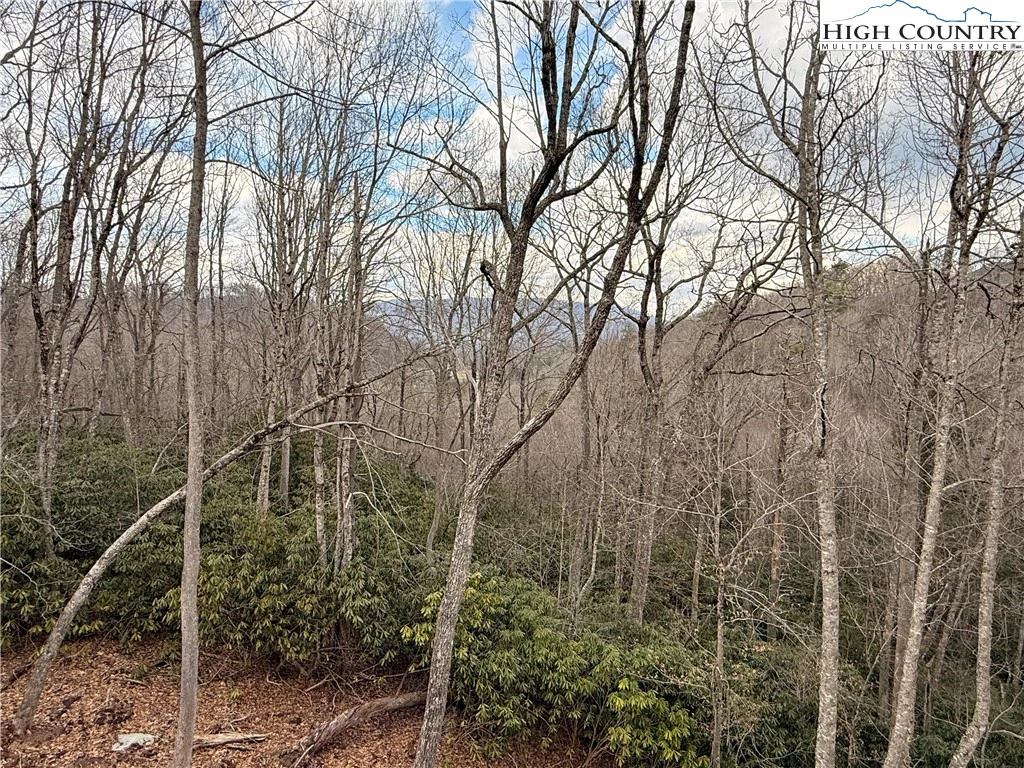 Image number 18 for the current listing