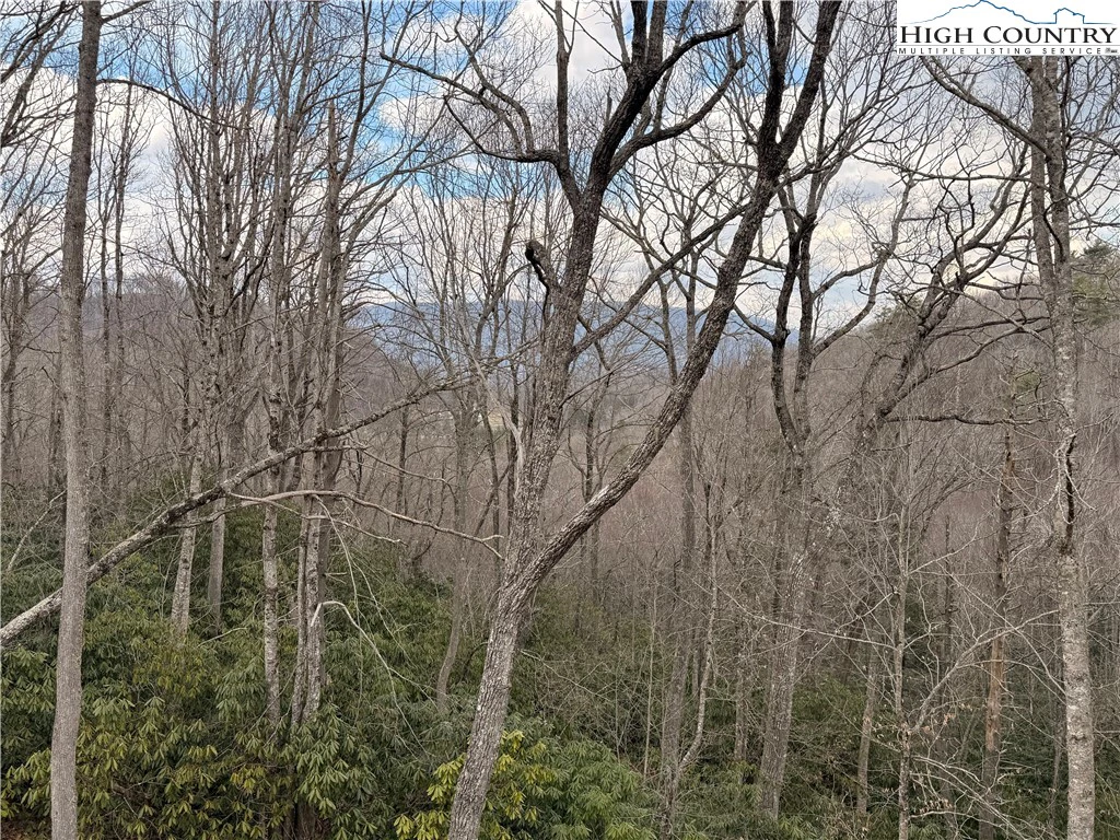 Image number 19 for the current listing