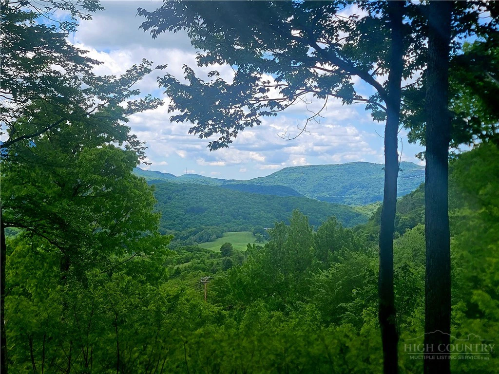 Image number 1 for the current listing