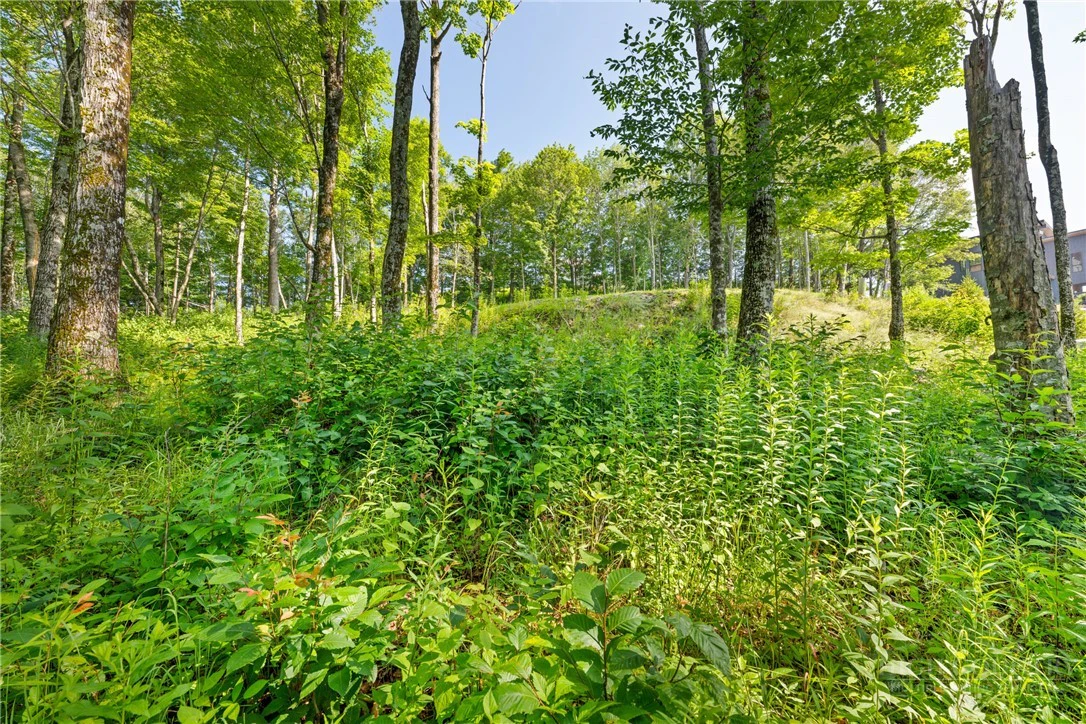 Image number 2 for the current listing