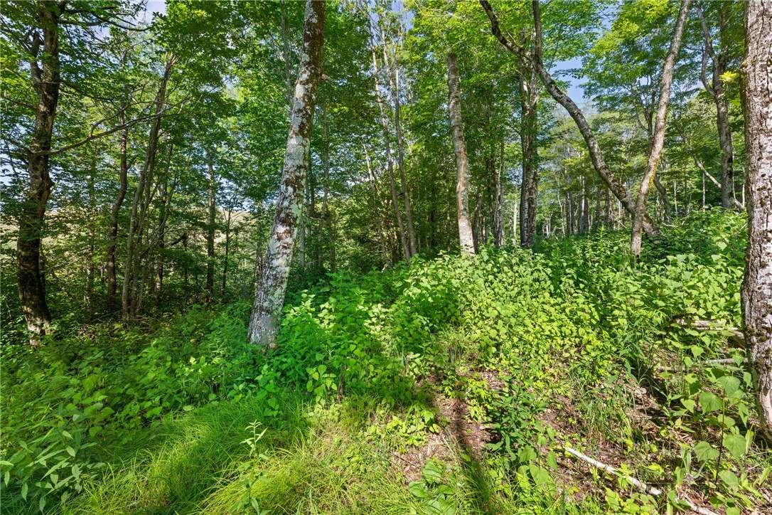 Image number 3 for the current listing