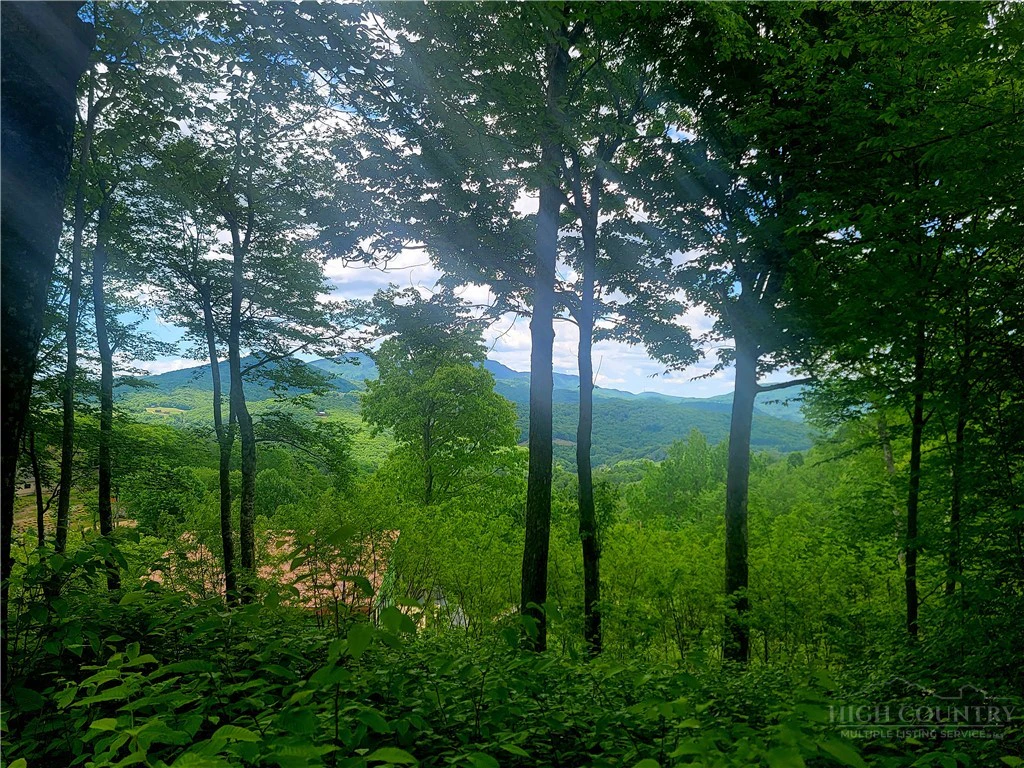 Image number 4 for the current listing