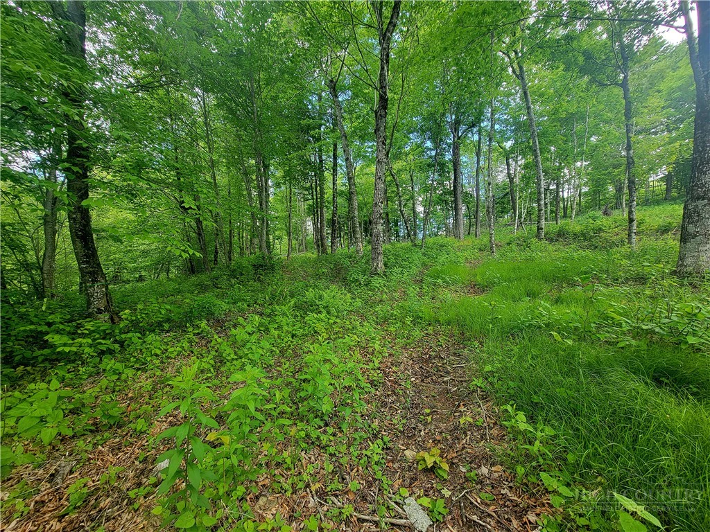 Image number 8 for the current listing