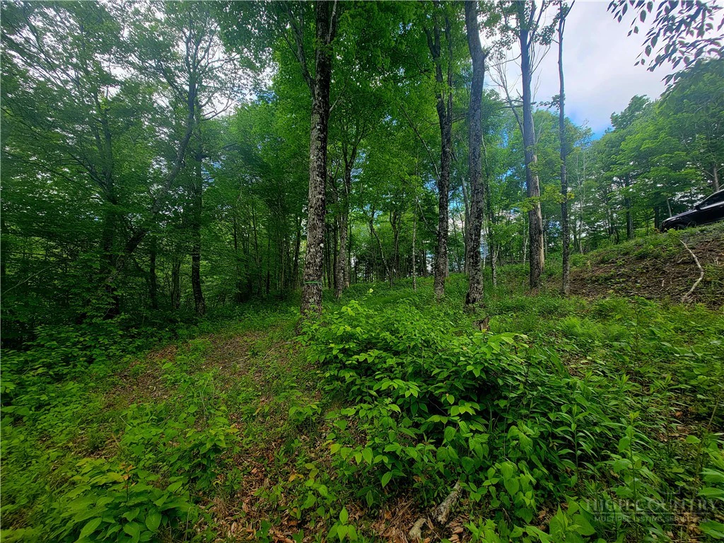Image number 9 for the current listing