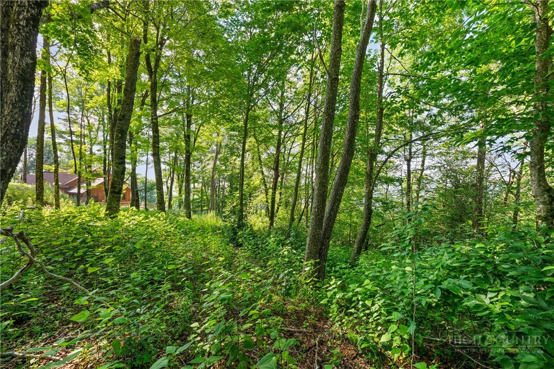 Image number 11 for the current listing