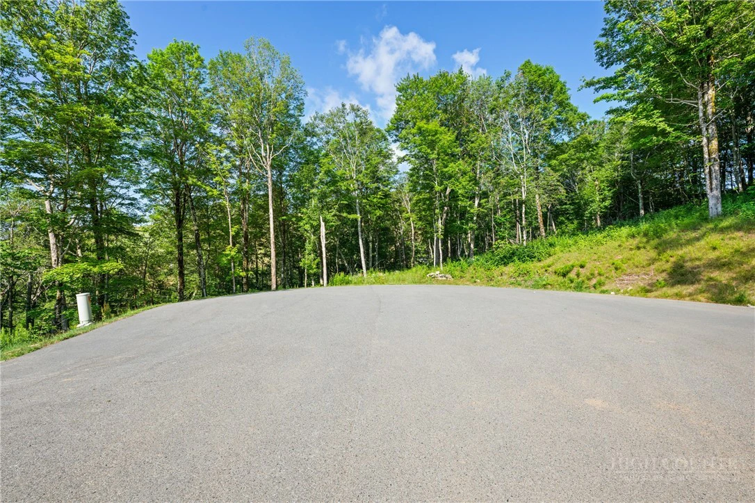 Image number 13 for the current listing