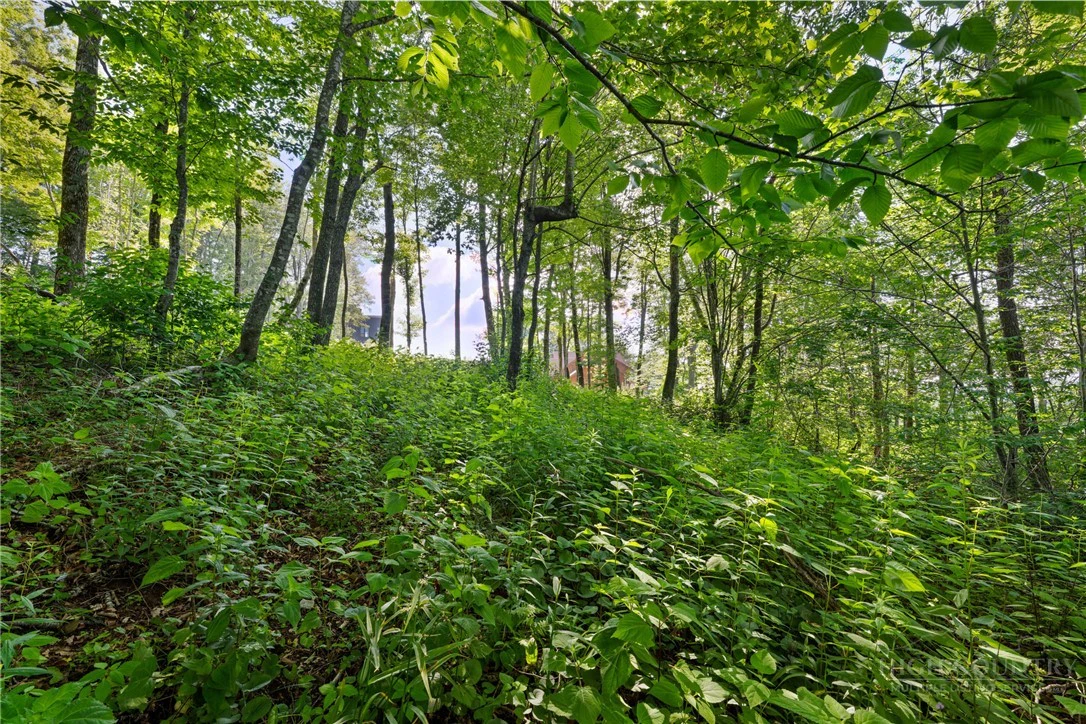 Image number 15 for the current listing