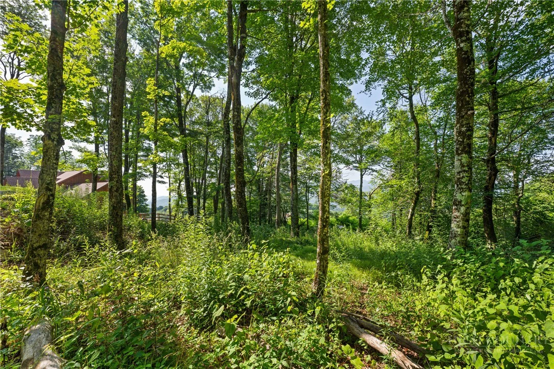 Image number 16 for the current listing