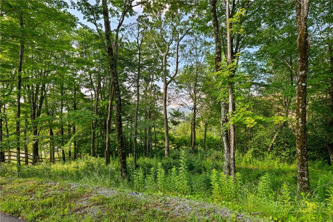 Image number 18 for the current listing