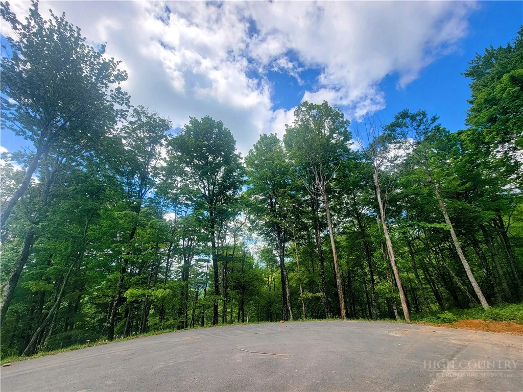 Image number 20 for the current listing