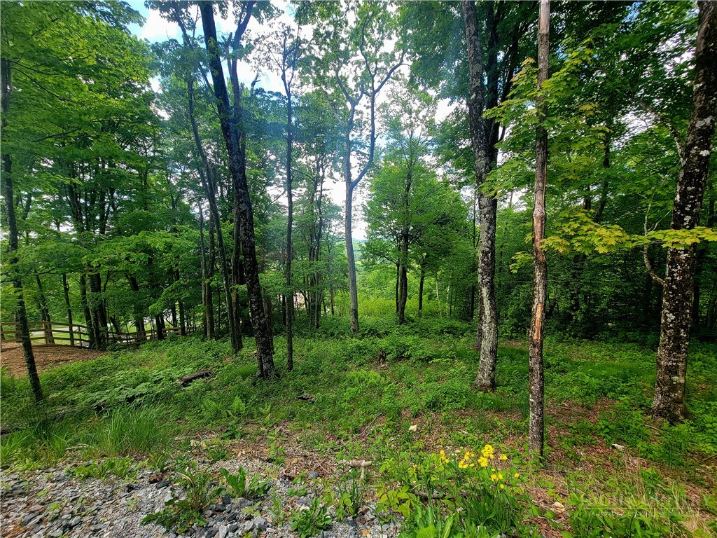 Image number 21 for the current listing