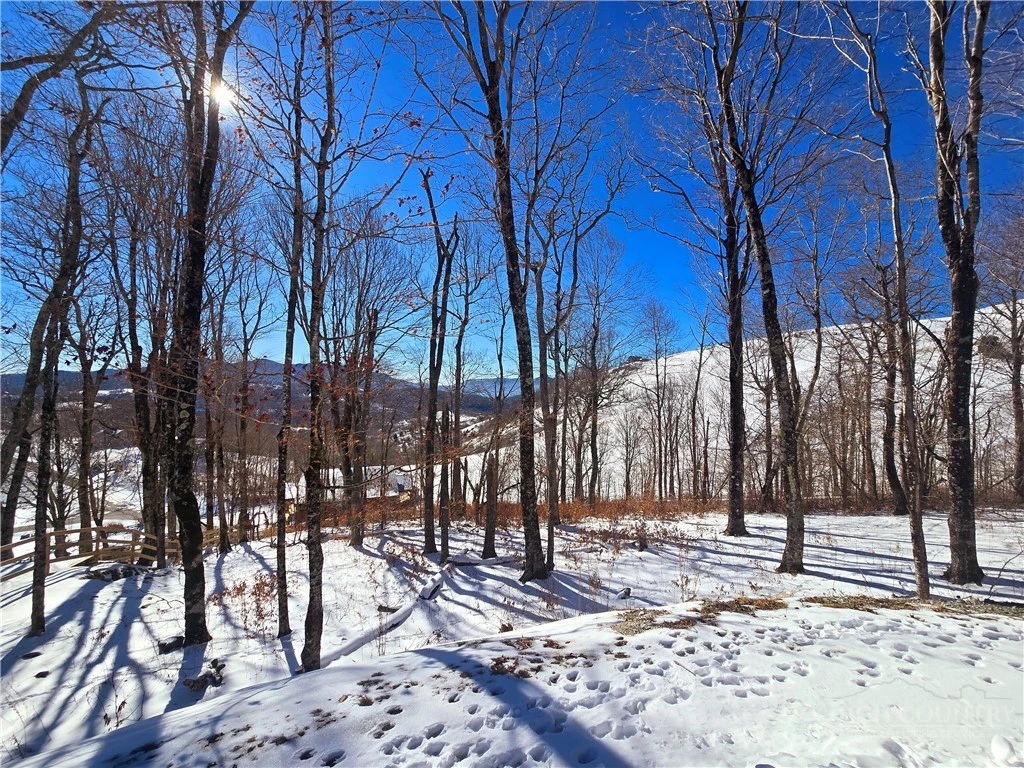 Image number 29 for the current listing