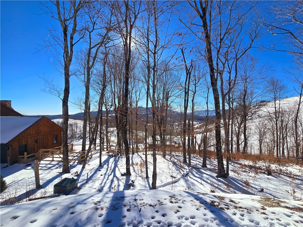 Image number 30 for the current listing