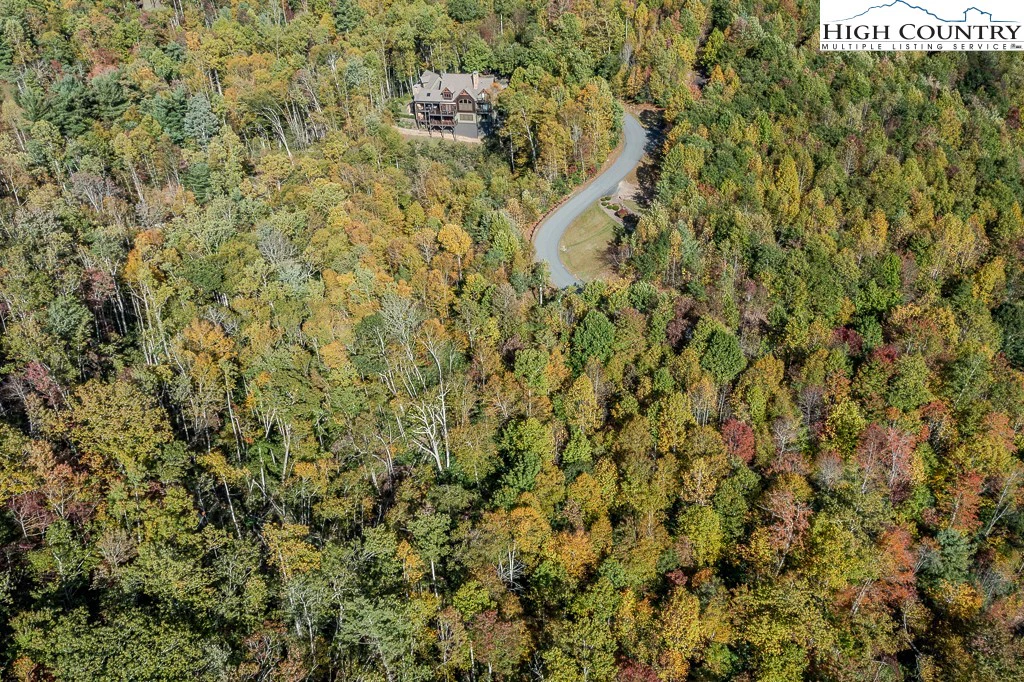 Image number 10 for the current listing