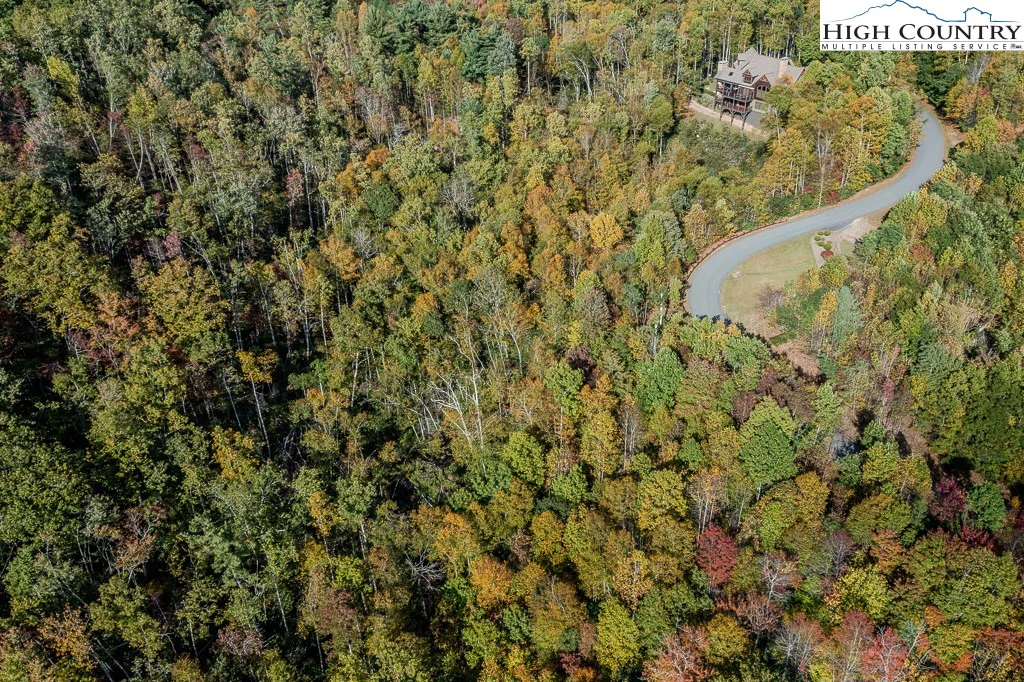 Image number 11 for the current listing