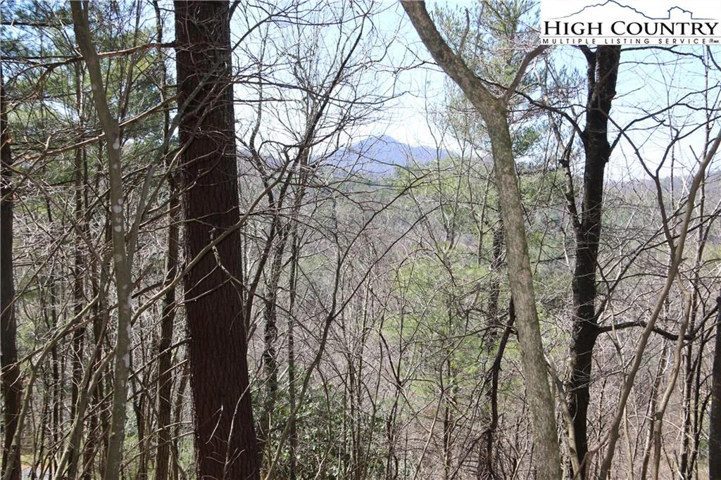 Image number 1 for the current listing