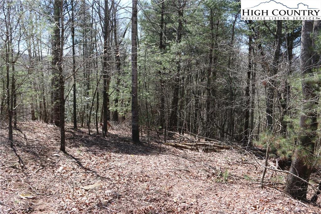 Image number 14 for the current listing