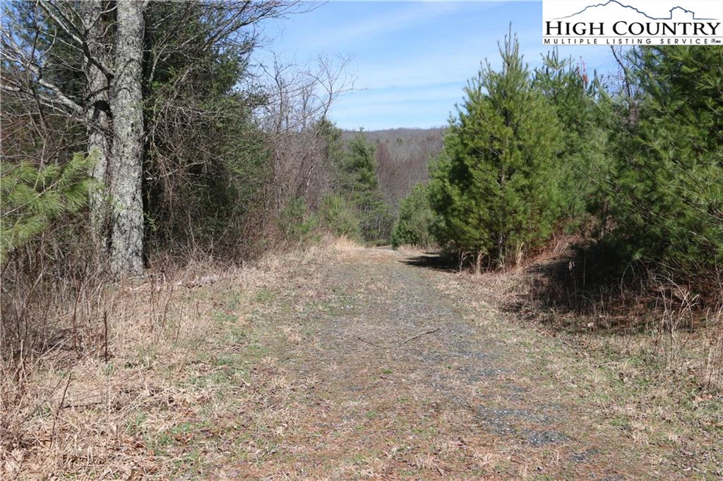 Image number 2 for the current listing
