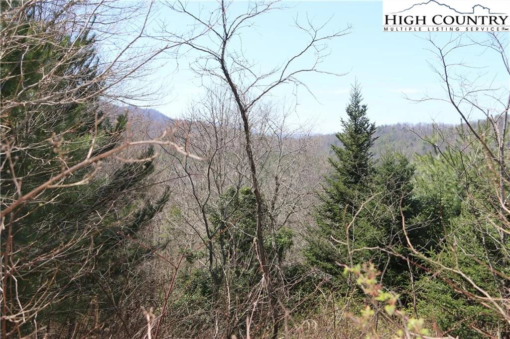 Image number 12 for the current listing