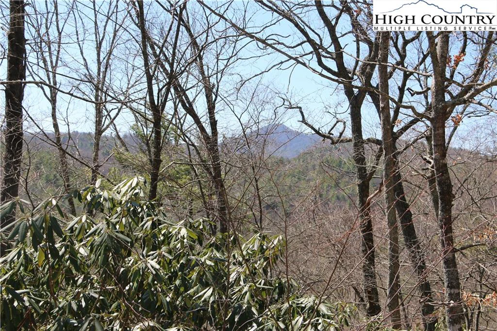 Image number 11 for the current listing