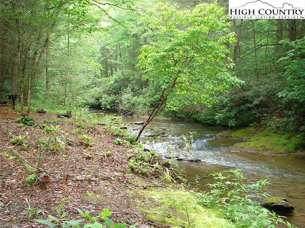 Image number 7 for the current listing