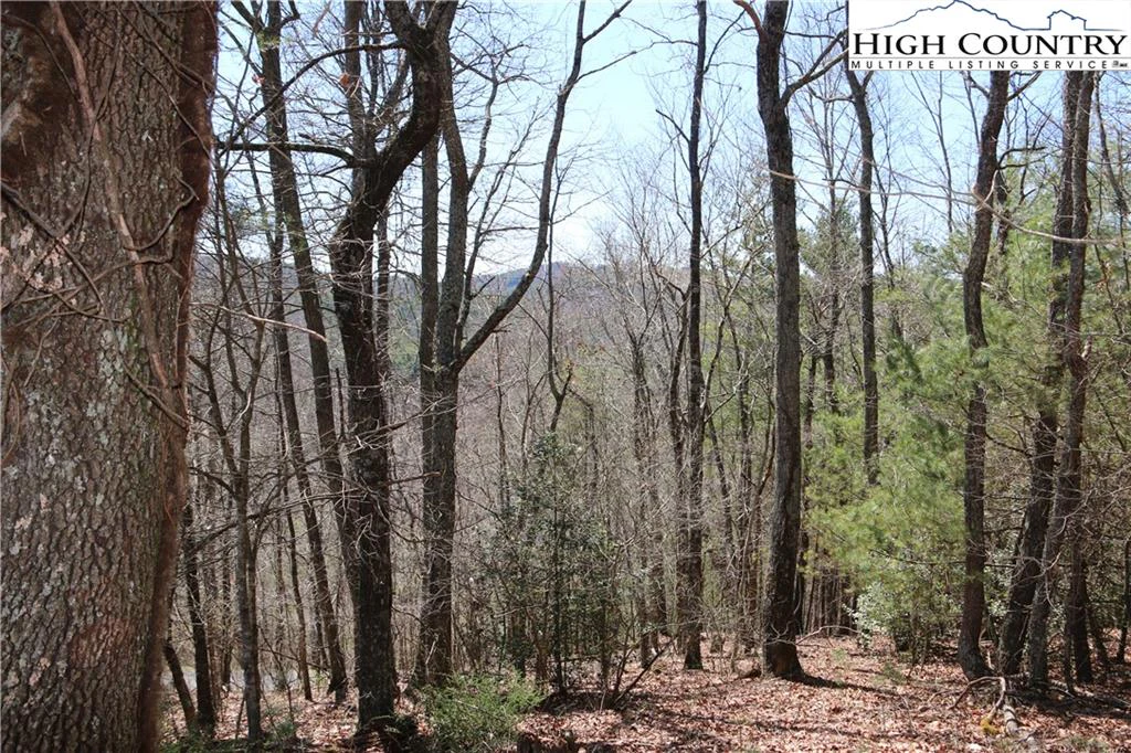 Image number 20 for the current listing