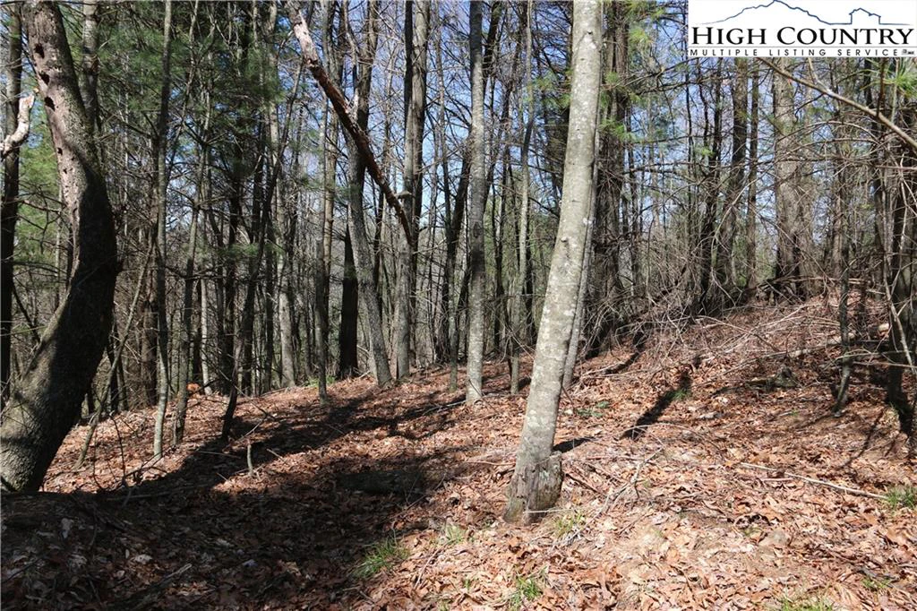 Image number 19 for the current listing