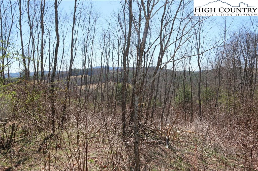 Image number 17 for the current listing