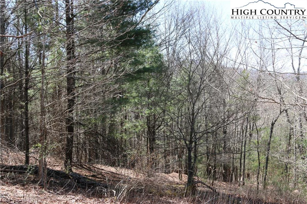 Image number 16 for the current listing