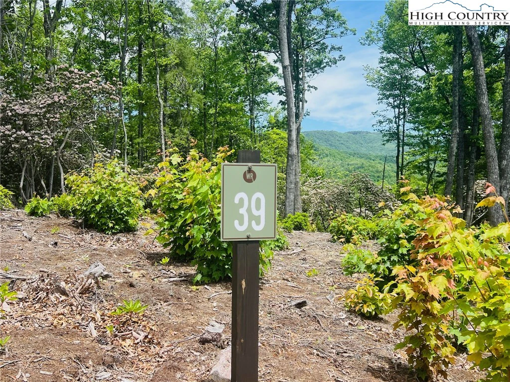 Image number 1 for the current listing