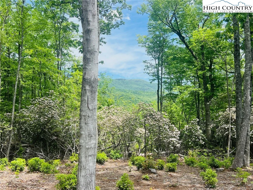 Image number 15 for the current listing