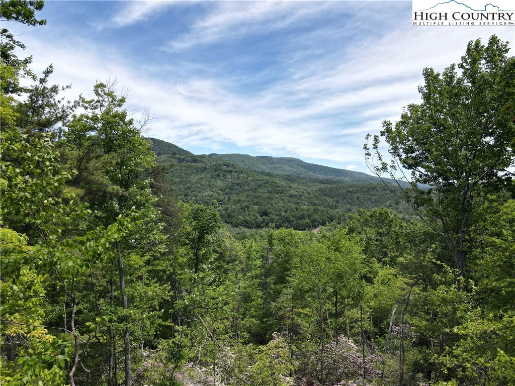 Image number 14 for the current listing