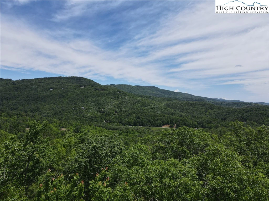 Image number 12 for the current listing