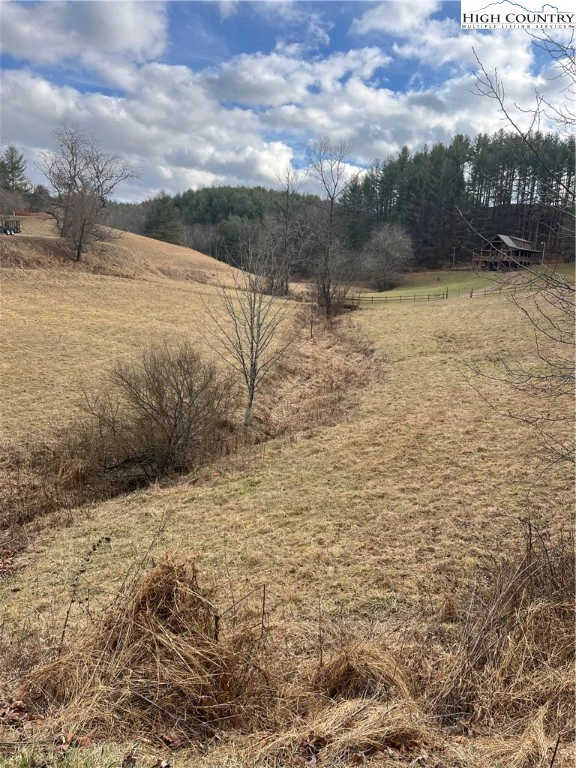Image number 1 for the current listing