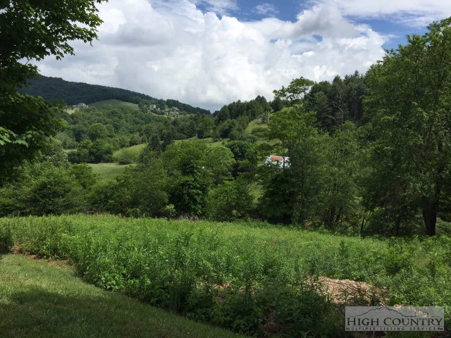 Image number 1 for the current listing