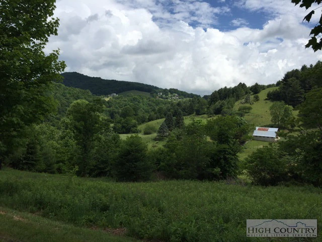 Image number 3 for the current listing