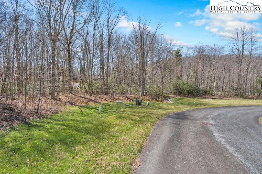 Image number 20 for the current listing