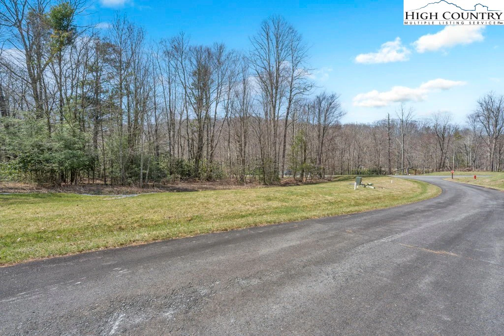 Image number 10 for the current listing