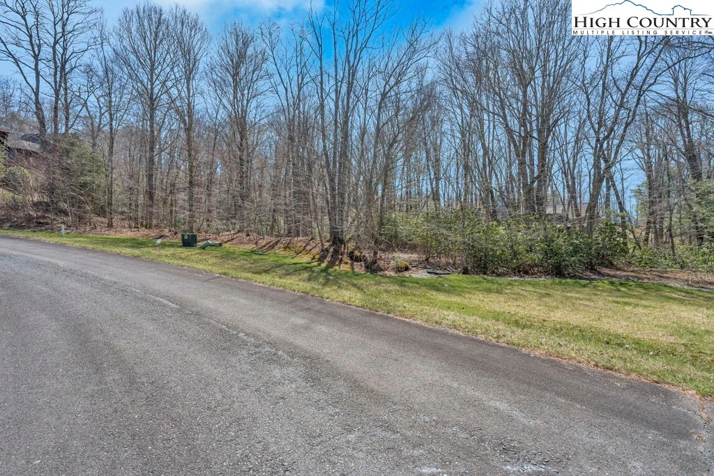 Image number 3 for the current listing