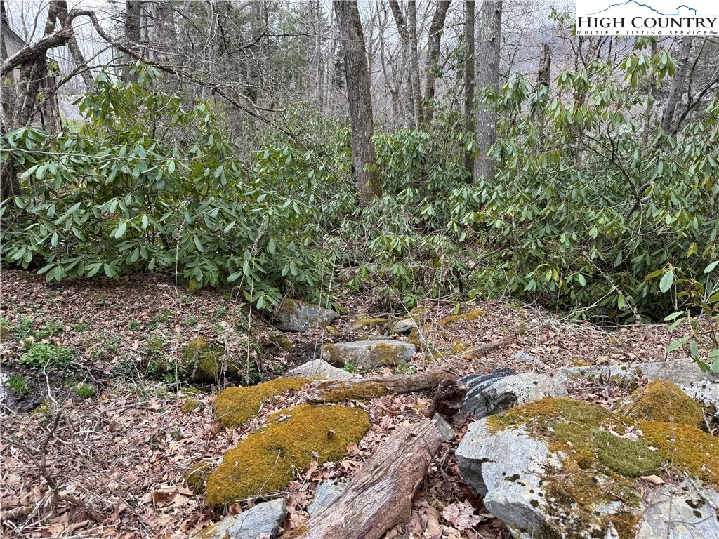 Image number 9 for the current listing