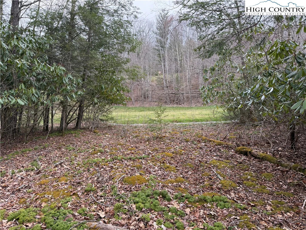 Image number 15 for the current listing