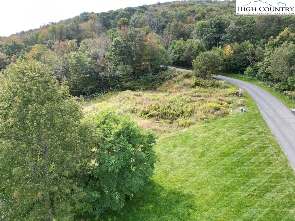 Image number 1 for the current listing