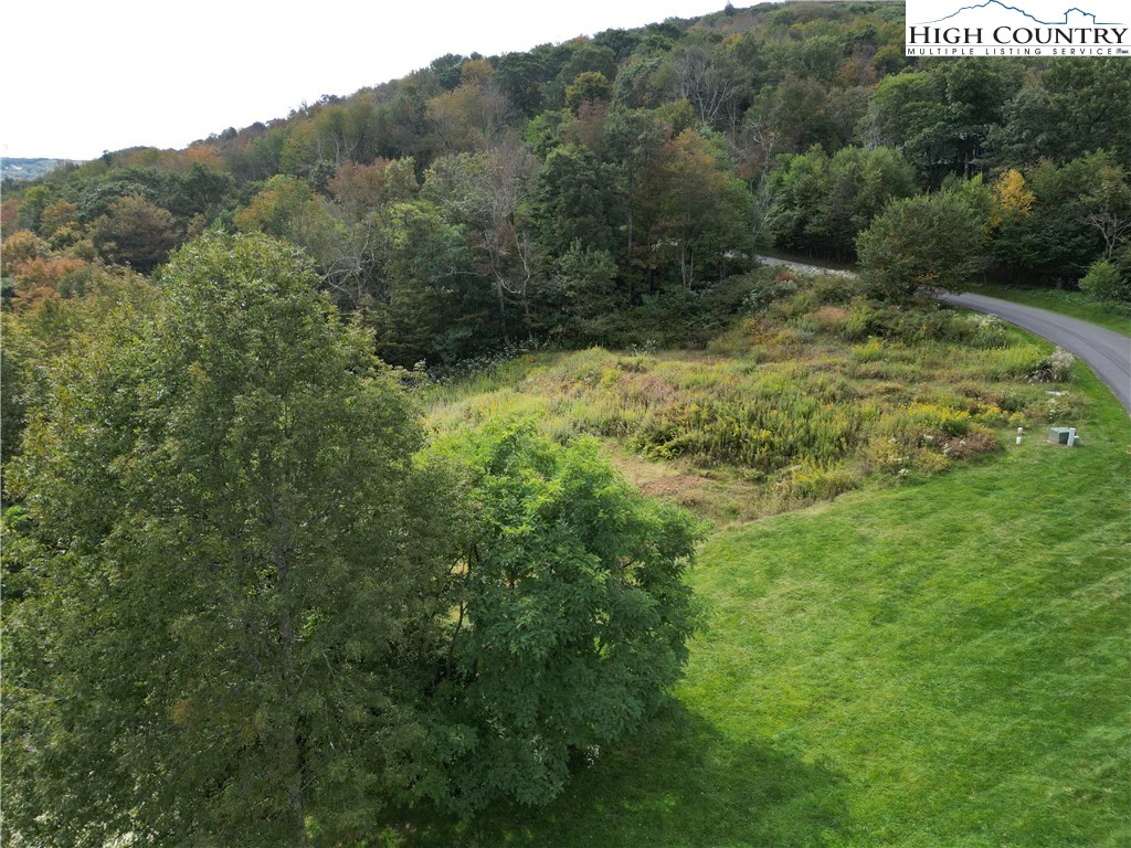 Image number 5 for the current listing