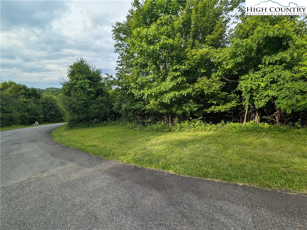 Image number 2 for the current listing