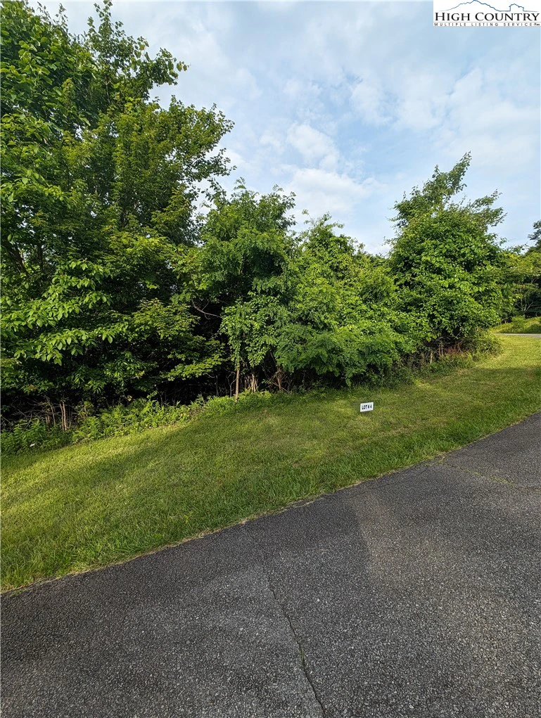 Image number 3 for the current listing