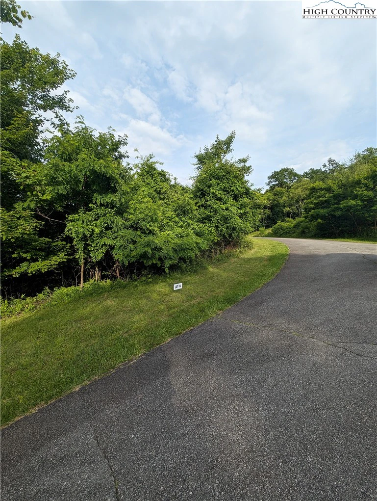 Image number 4 for the current listing