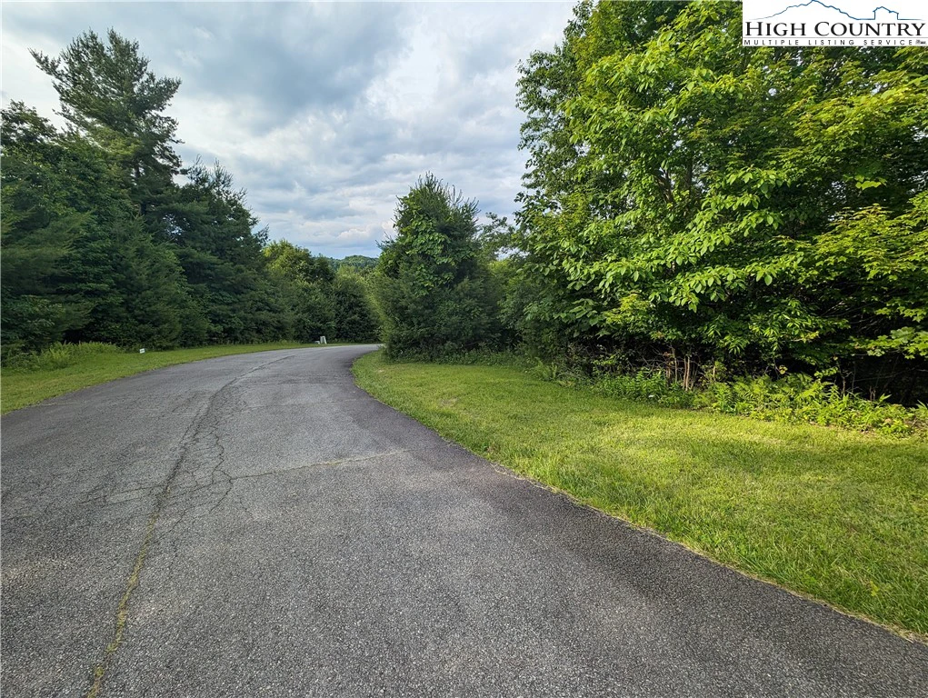Image number 5 for the current listing