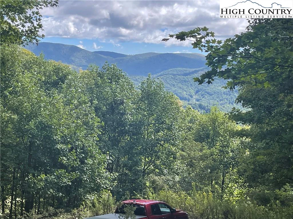 Image number 1 for the current listing