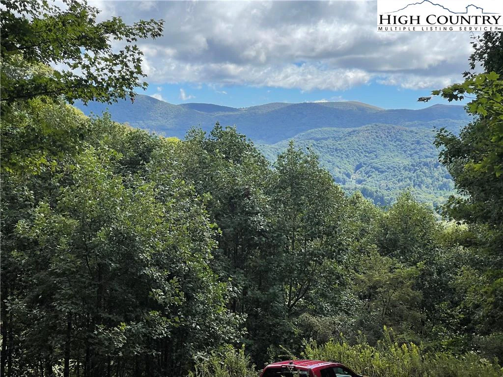 Image number 3 for the current listing